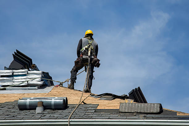 Professional Roof Replacement technician working in Seaboard, NC